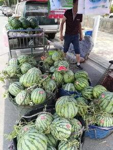 阜宁网红吃瓜事件,一场网络舆论的风暴与反思